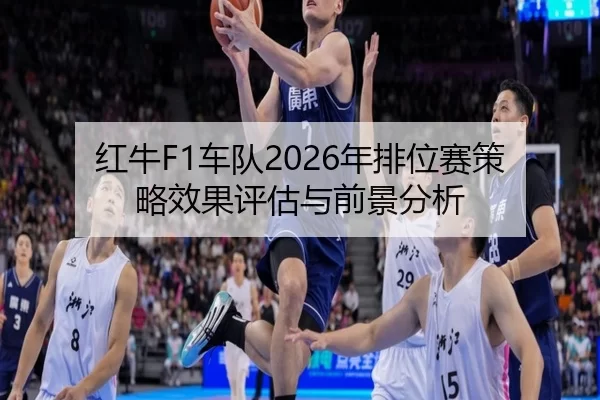 hong-niu-che-dui-nian-pai-wei-sai-ce-lve-xiao-guo-ping-gu-yu-qian-jing-fen-xi-2-289.jpg